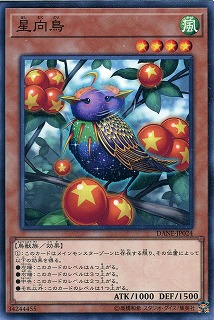 【ノーマル】星向鳥