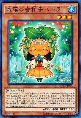 【ノーマル】森羅の蜜柑子 シトラ