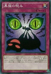 【ノーマル】黒猫の睨み