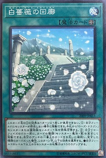 【ノーマル】白薔薇の回廊