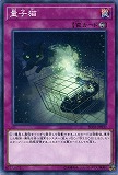 【ノーマル】量子猫