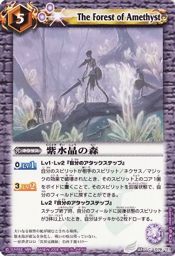 紫水晶の森
